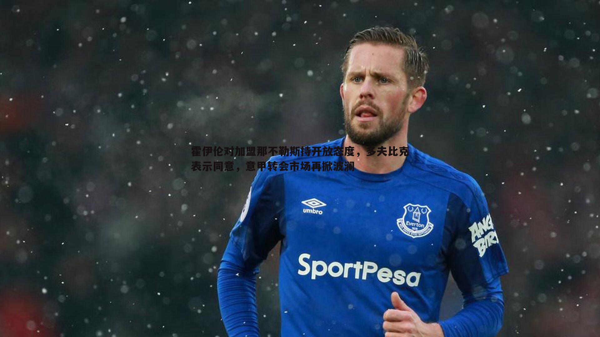 霍伊伦对加盟那不勒斯持开放态度，多夫比克表示同意，意甲转会市场再掀波澜